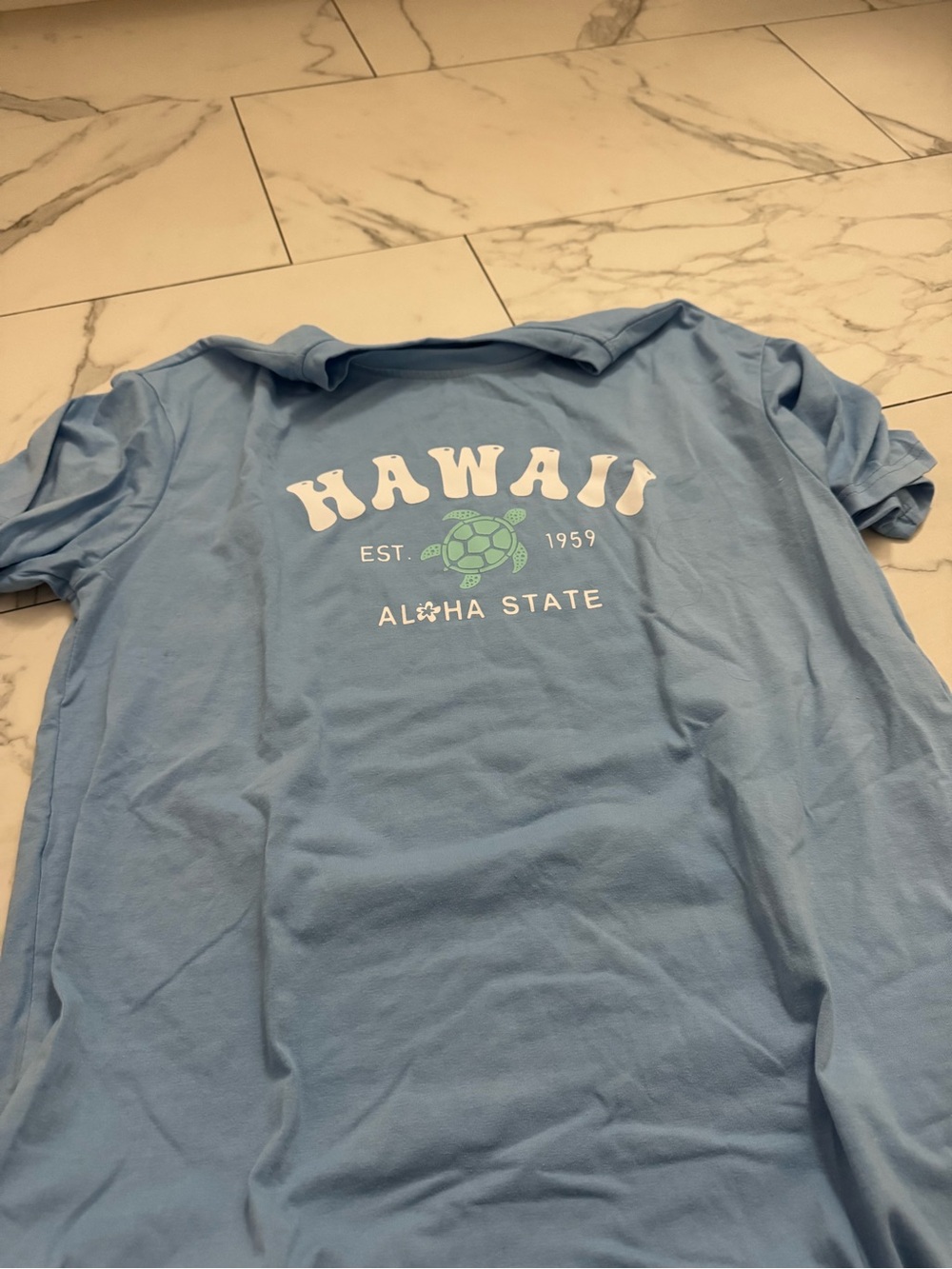 Hawaii Graphic Tee - Light Blue Kids Shirt